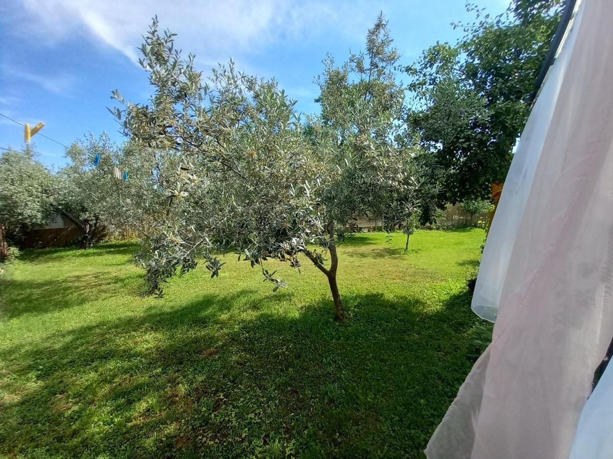 Holiday House Chill Out Loborika Marčana 外观 照片
